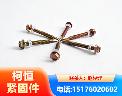 盘锦六角钻尾丝